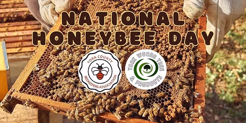 Honeybee Day & Honey Tasting Contest