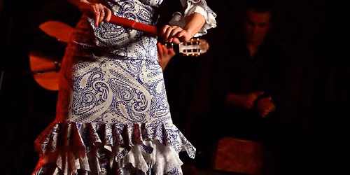 Flamenco Afici\u00f3n | Waschhaus Potsdam
