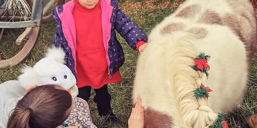 Barnyard Party Pals Jingle Ponies @ Candy Canes with Santa at Beth Prince State Farm 