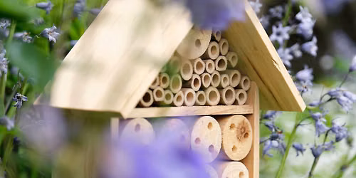 Going Buggy: Build a Bug Hotel!