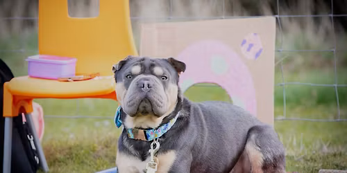 Building Skills Academy