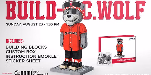 Retro Sunday | Build-A-C. Wolf Kids Giveaway | Catch on the Field
