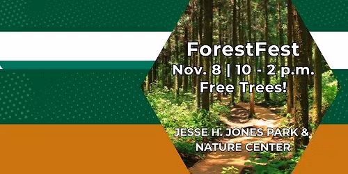 Inaugural ForestFest