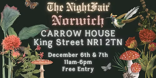 The NightFair Before Christmas - Norwich