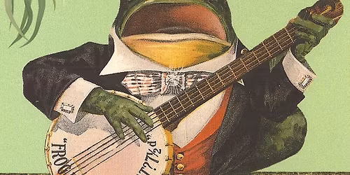 The Bullfrogs at Harbourside Markets