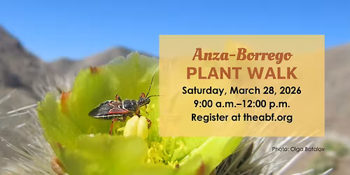 Anza-Borrego Plant Walk