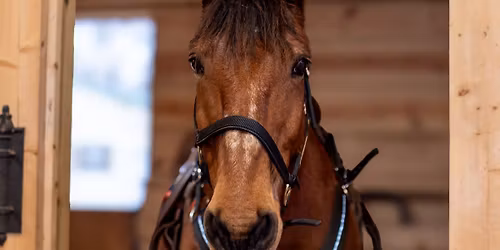 MRU Appearance: True Crime & Equines Agritourism Event Series