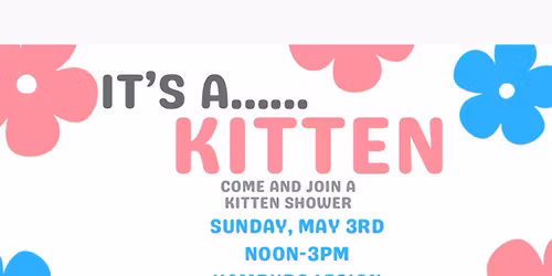 Kitten Shower