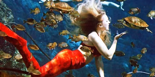 Weeki Wachee Pagan Vacation