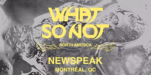 WHAT SO NOT au Newspeak