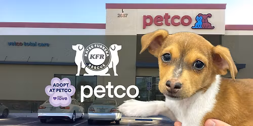Petco Turlock - Saturday Adoption Event