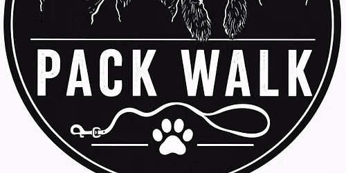 Four Dogs Pack Walk 