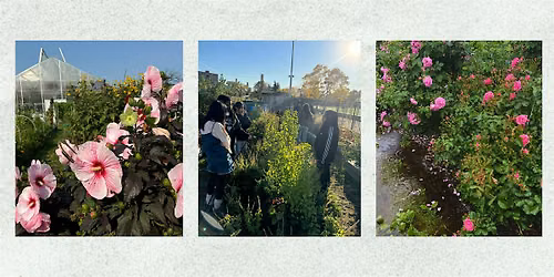 Recipes & Rituals for Community Care: Bathing in the Essence of the Garden