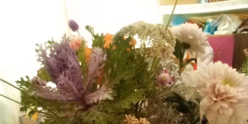 Single Vision Thanksgiving \ud83c\udf42\ud83e\udd83\ud83d\ude4f\ud83e\udd67