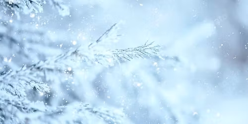 ODS/UKC Winter Sucks Nosework Trials