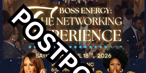 Boss Energy: The Networking Experience