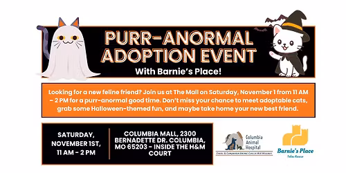 Purr-anormal Adoption Event With Barnie's Place