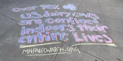 State Fair Chalktivism