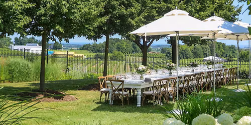 Vineyard Lunch