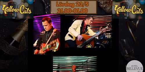 Yellow Cats \u2013 Live 