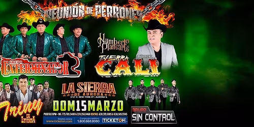 GRUPO EXTERMINADOR, HUMBERTO PLANCARTE & MAS