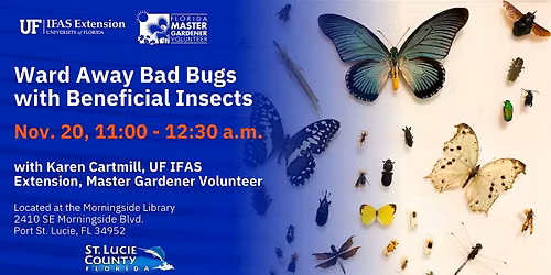 Ward Away Bad Bugs with Beneficial Insects