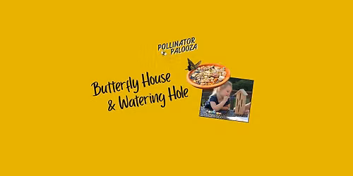 Kids Workshop | Butterfly House & Watering  Hole