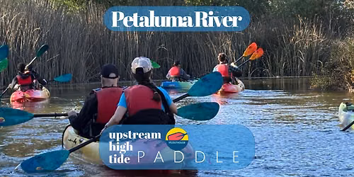 Petaluma River Early Evening Upstream High Tide Paddle