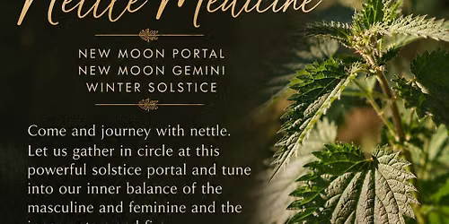 A Solstice Journey with Nettle Medicine