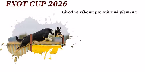 Exot cup 2026