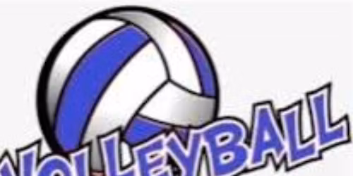 Stake Adult Co-ed Volleyball