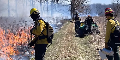 Prescribed Fire in the Forest Preserves