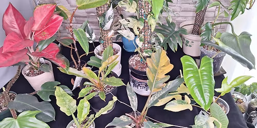 Mid-Michigan Plant People BST Swap