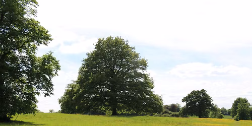 Evening Stroll from Northwood Hills to Ruislip on Segment 28