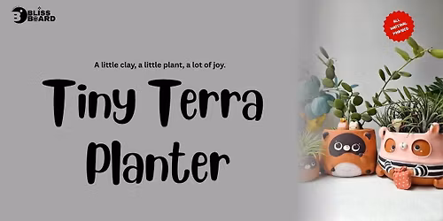 Tiny Terra Planters