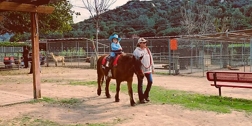 Pony Rides in April