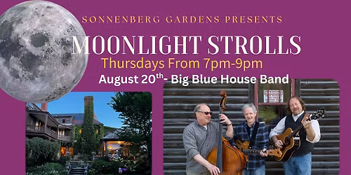 Moonlight Strolls- Big Blue House Band