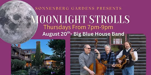 Moonlight Strolls- Big Blue House Band