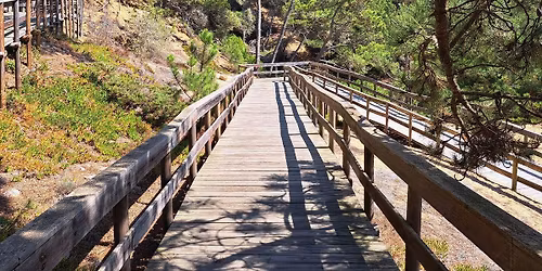 1\u00aa Caminhada do Ano: Encostas e Passadi\u00e7os do Magoito