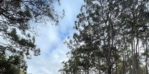 KT 50min Rnd 4 Twilight