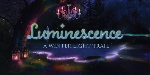 Luminescence - A Winter Light Trail