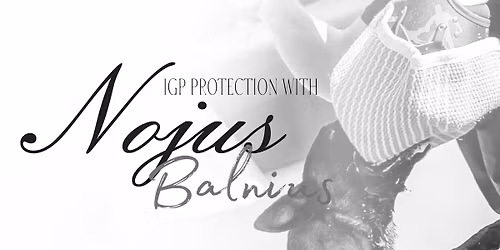 IGP Protection with Nojus 