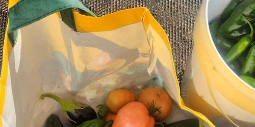 Cultivate Community - BIPOC Family Saturday Garden Time