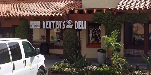 Carlsbad - Dog dental cleaning