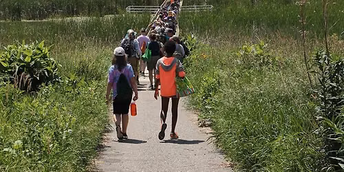 Summer Explorers Biology Camp