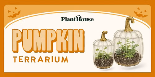 Pumpkin Terrarium Workshop