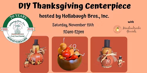 DIY Thanksgiving Centerpiece with Meadowbrooke Gourds