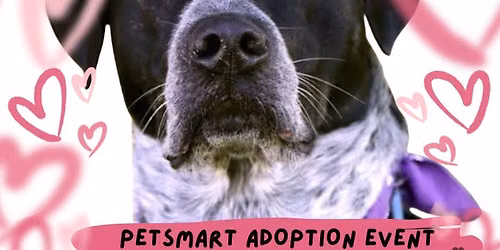 TARA Adoption Event at PetSmart (Ward Pkwy)