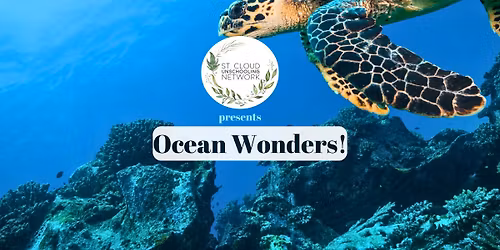 Ocean Wonders!