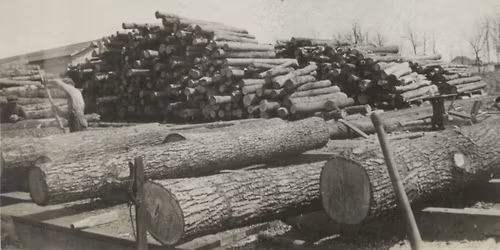 Chainsaws: Past and Present